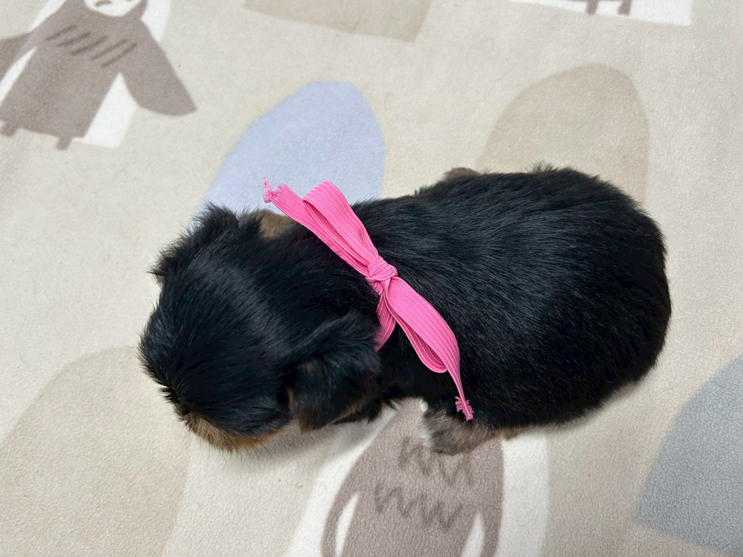 赤ちゃん写真2-3