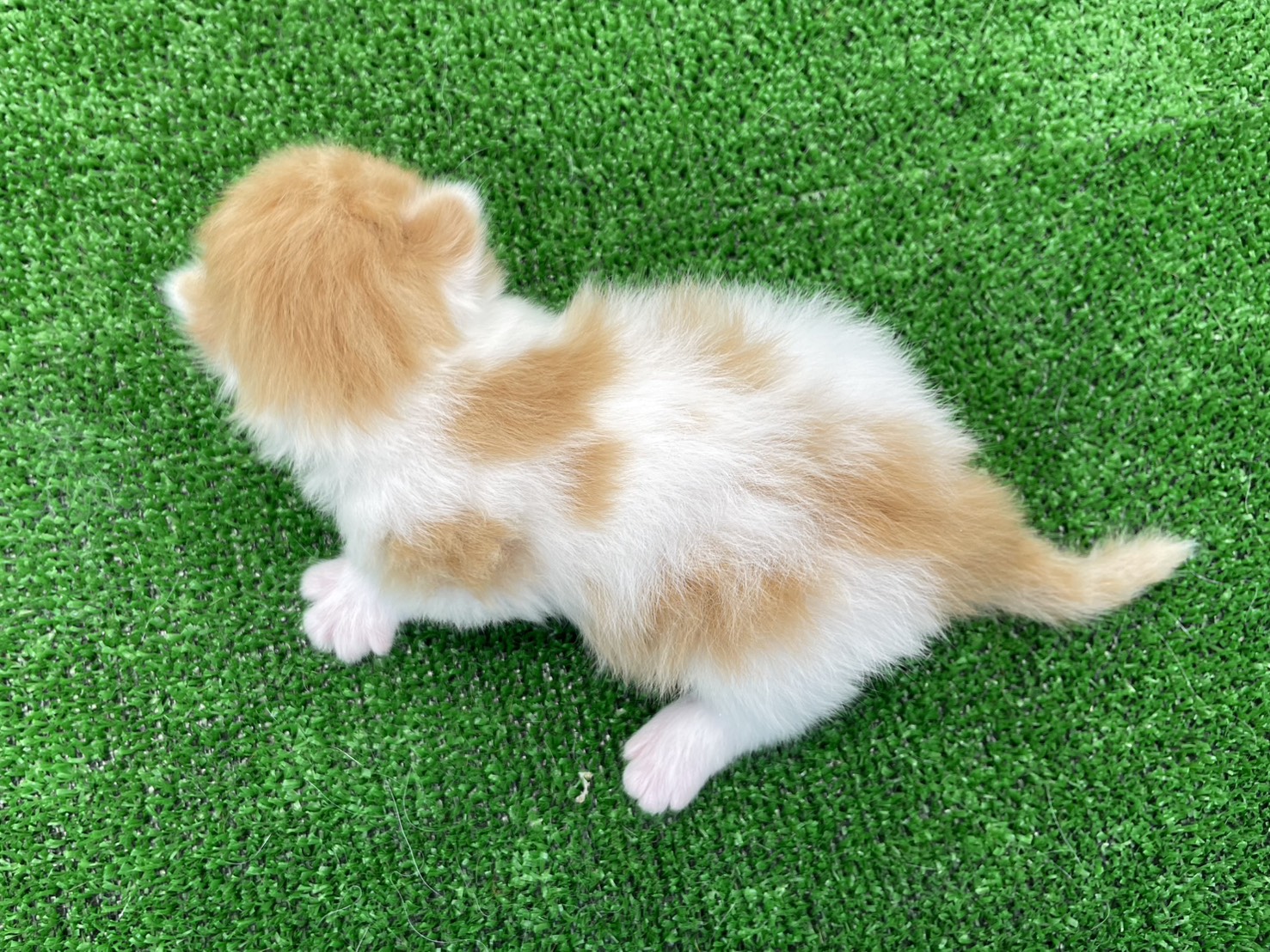 赤ちゃん写真1-3