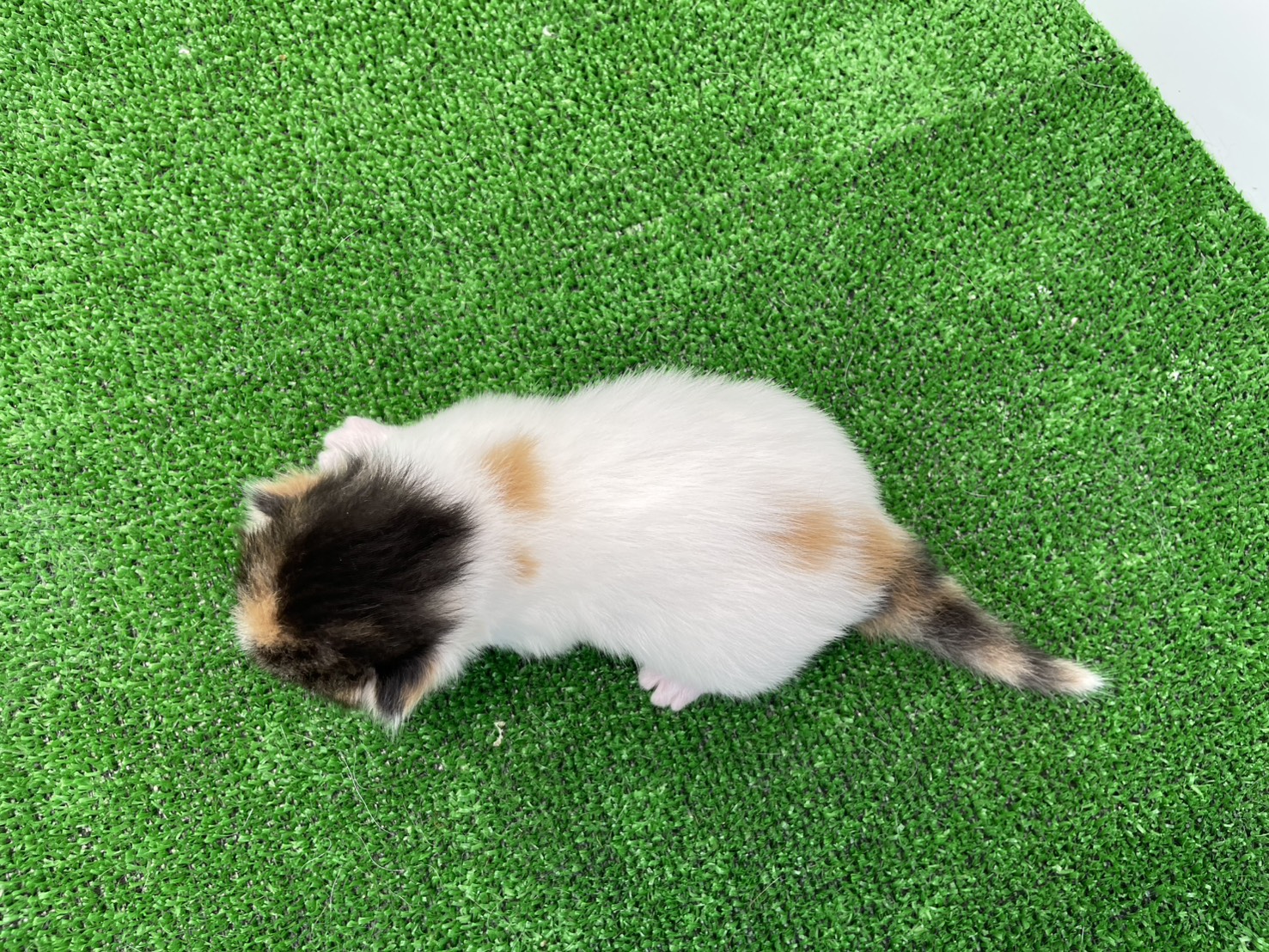 赤ちゃん写真1-3