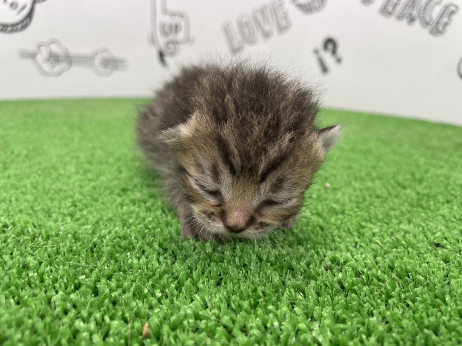 赤ちゃん写真1-1