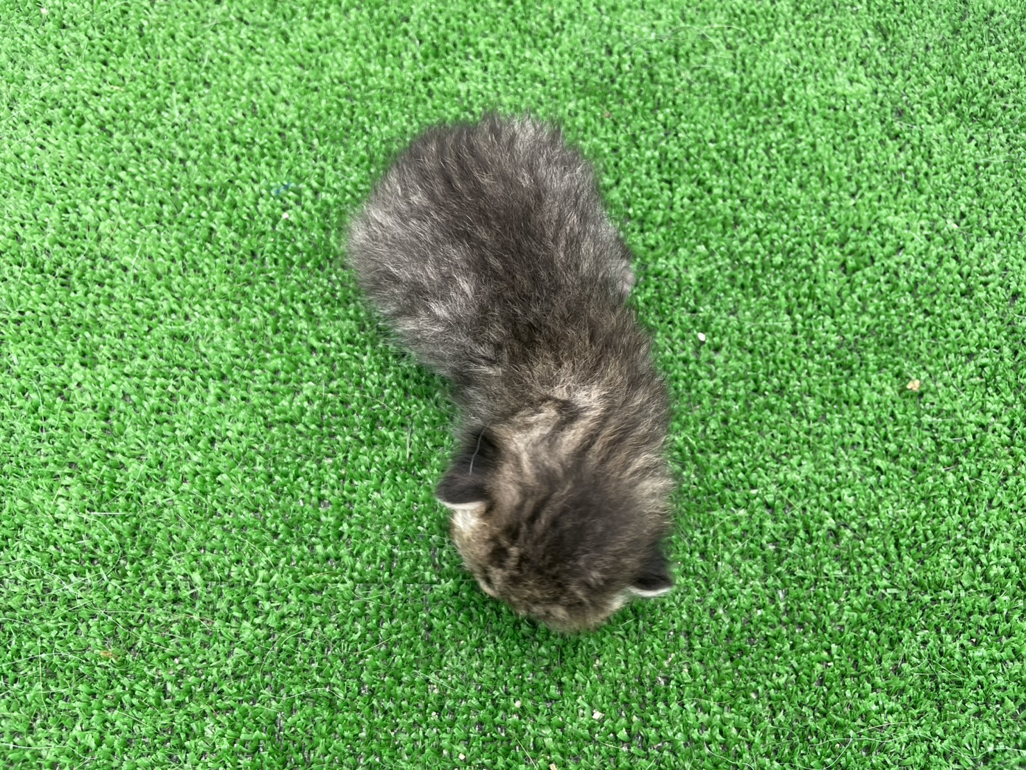 赤ちゃん写真1-3