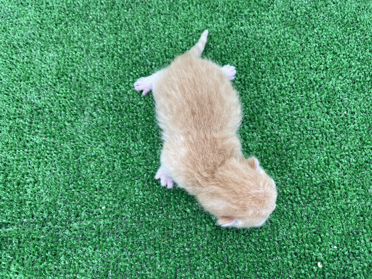 赤ちゃん写真1-3