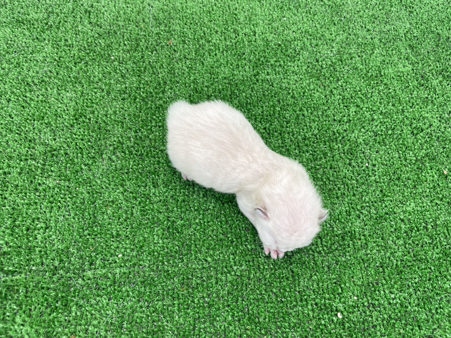 赤ちゃん写真1-3