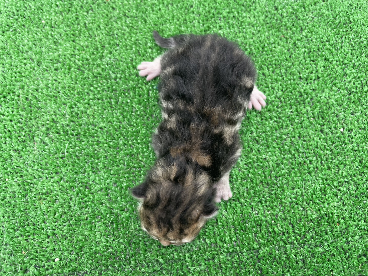 赤ちゃん写真1-3