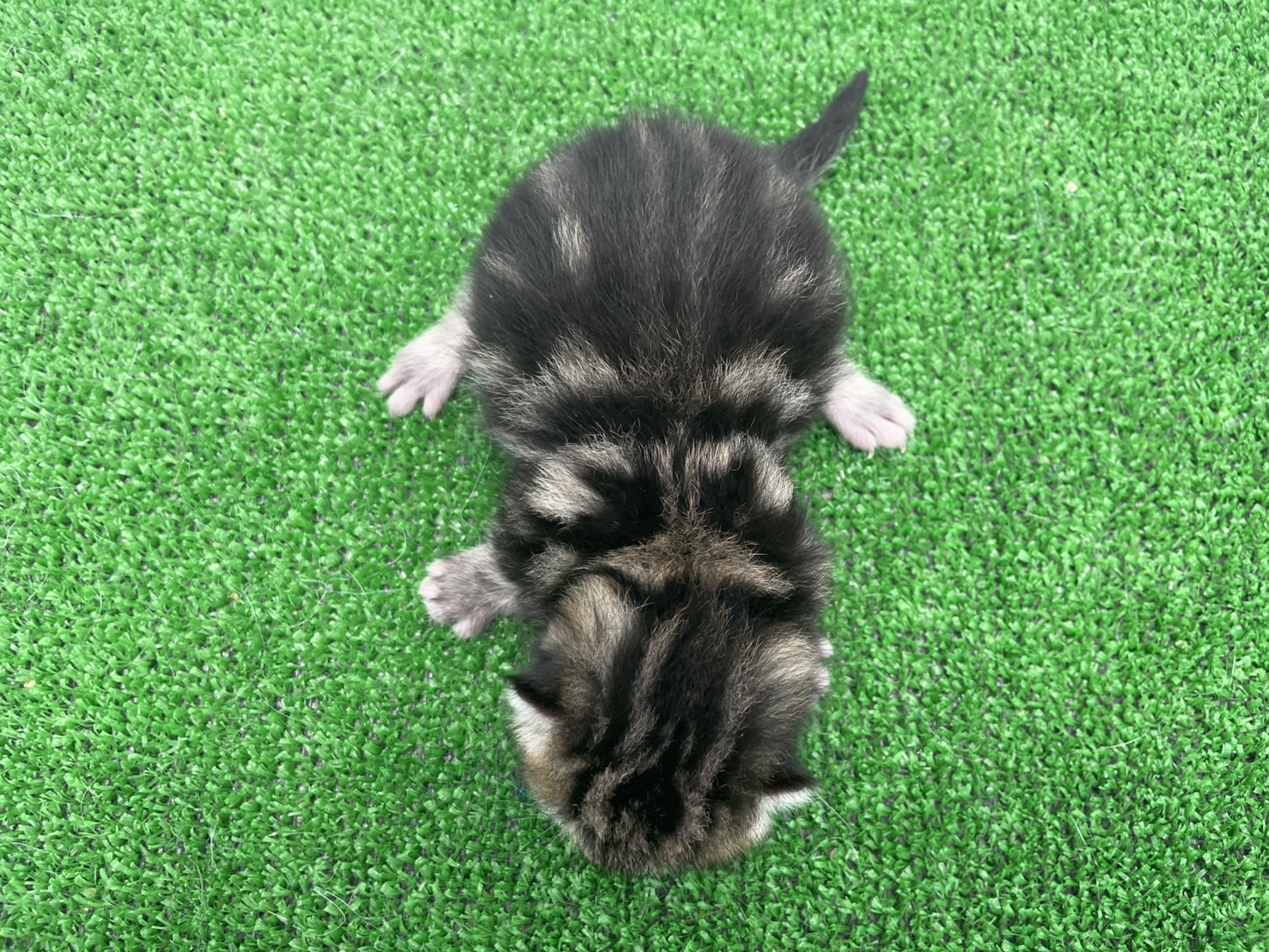 赤ちゃん写真1-3