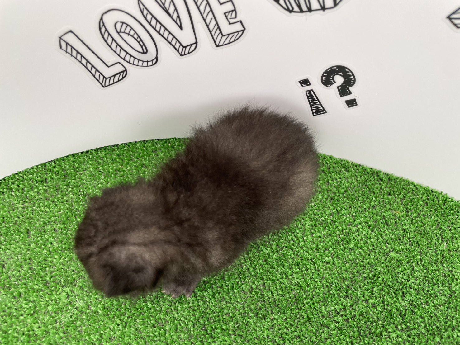 赤ちゃん写真1-3