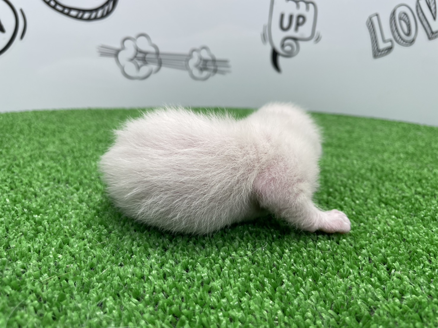 赤ちゃん写真1-2