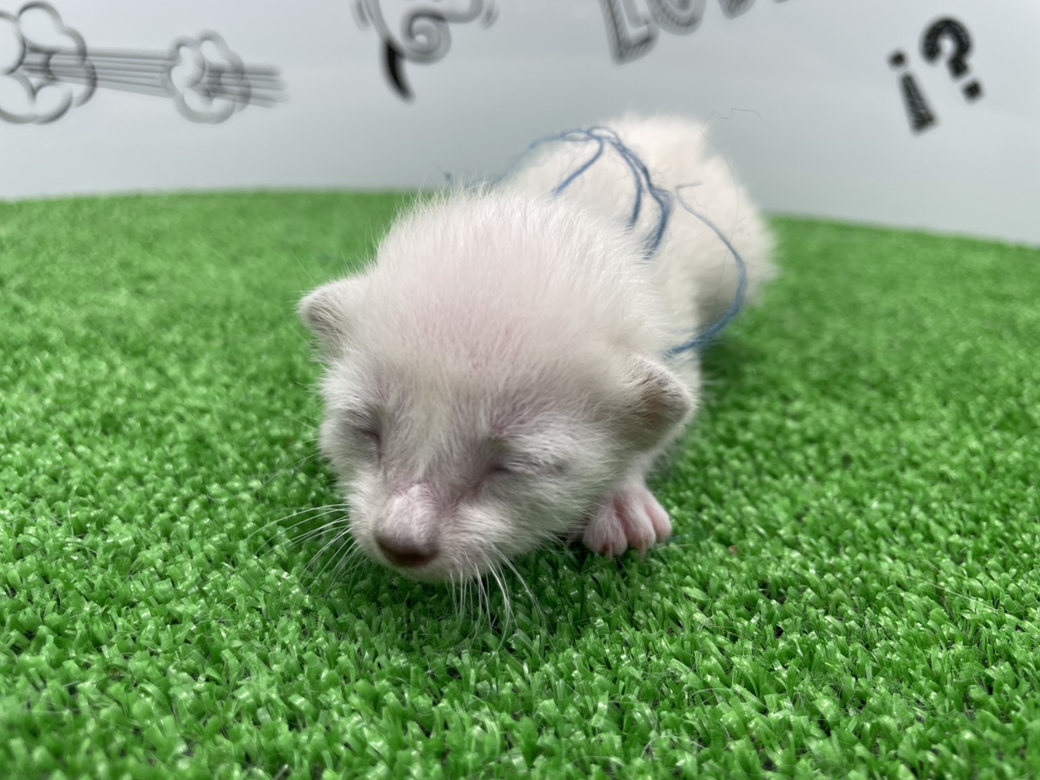 赤ちゃん写真1-1