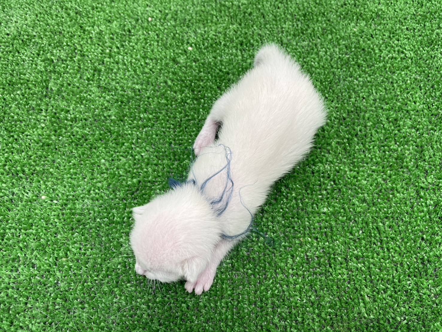 赤ちゃん写真1-3