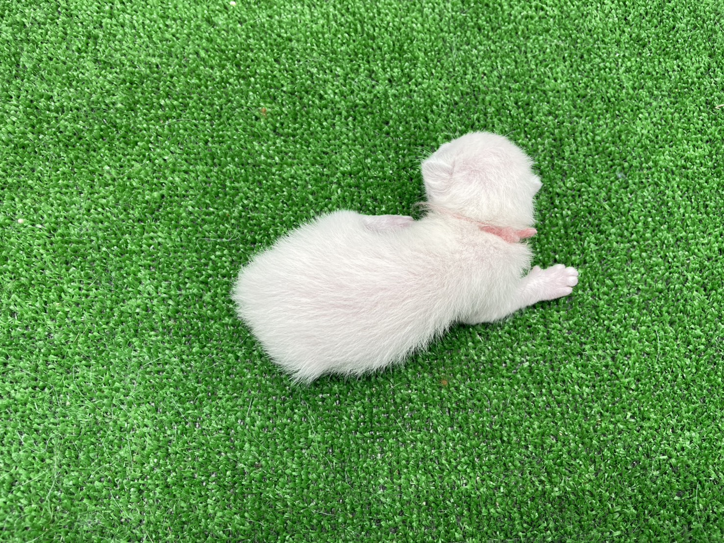 赤ちゃん写真1-3