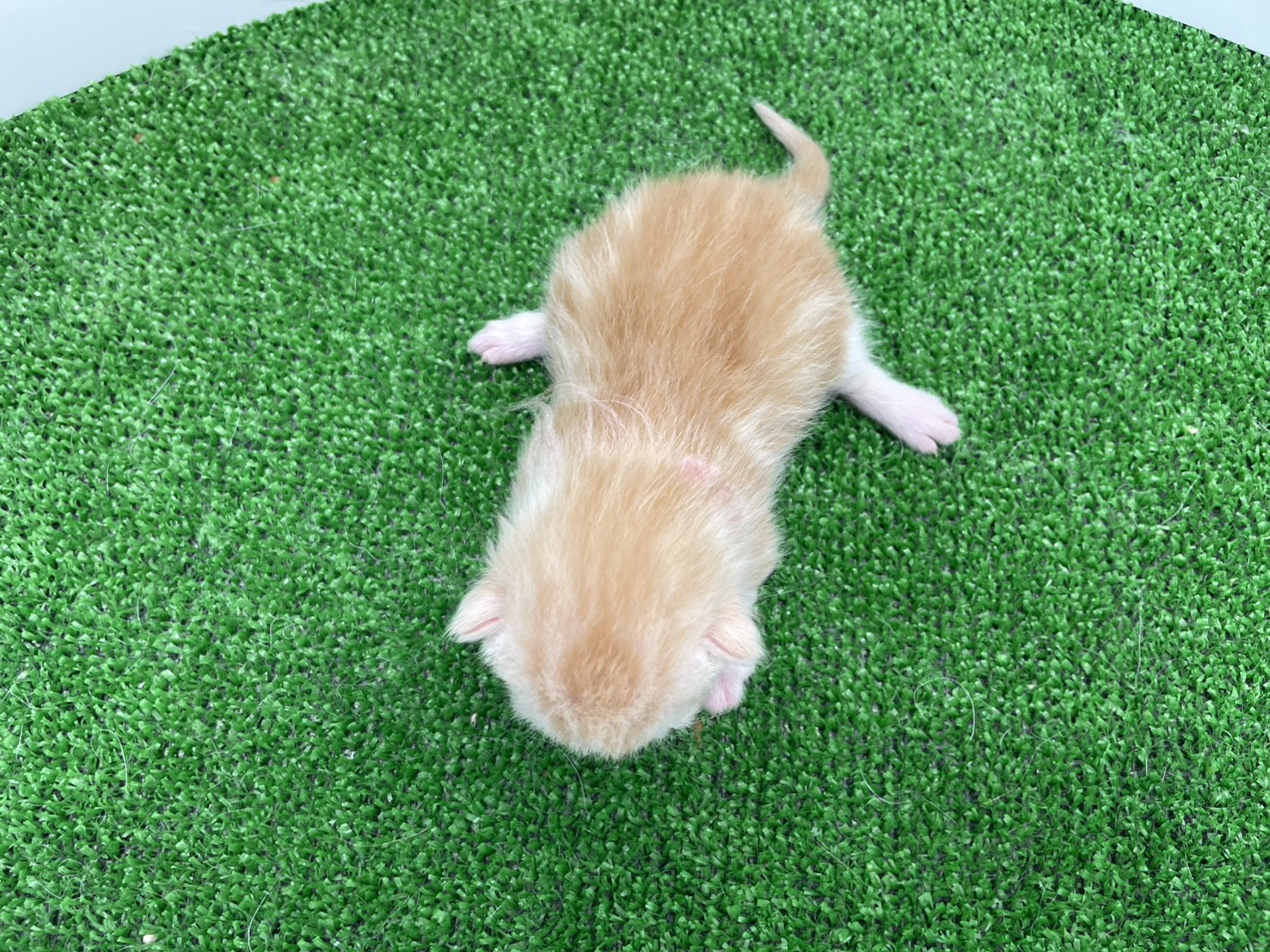 赤ちゃん写真1-3