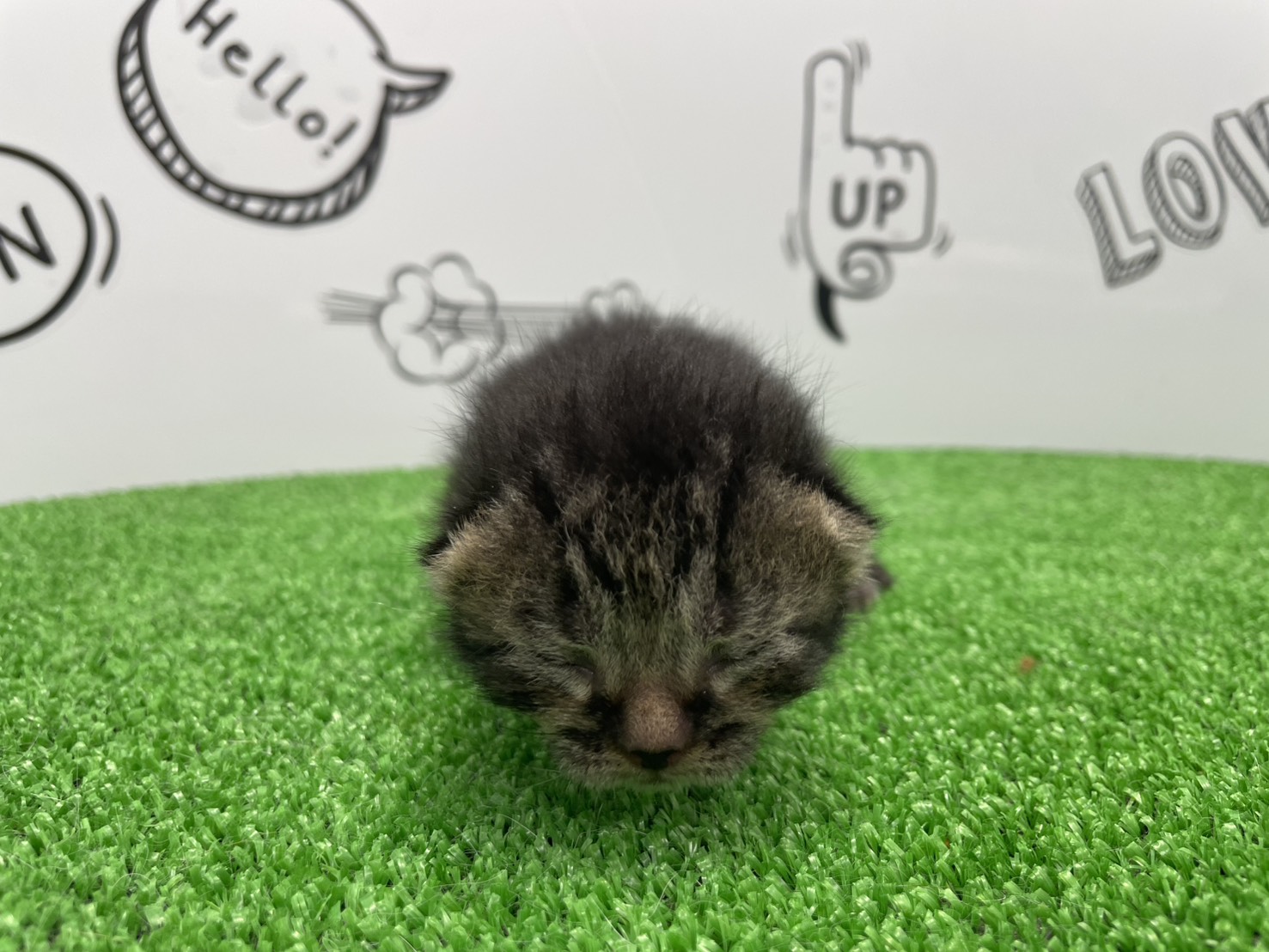 赤ちゃん写真1-1
