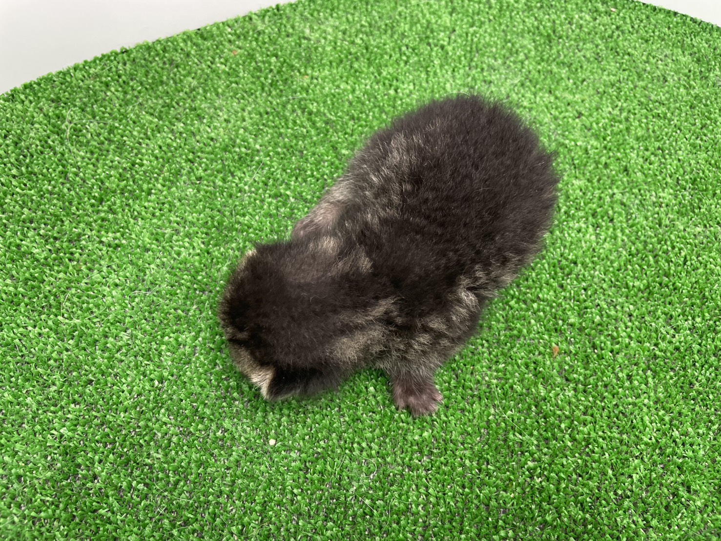 赤ちゃん写真1-3