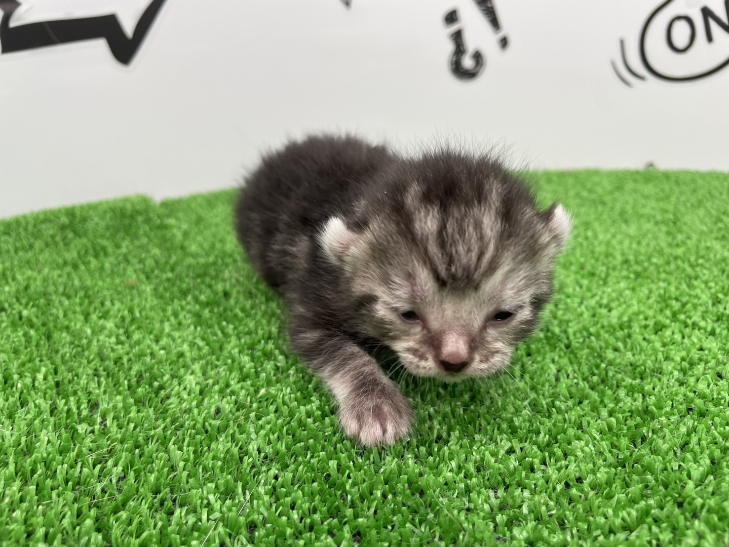赤ちゃん写真1-1