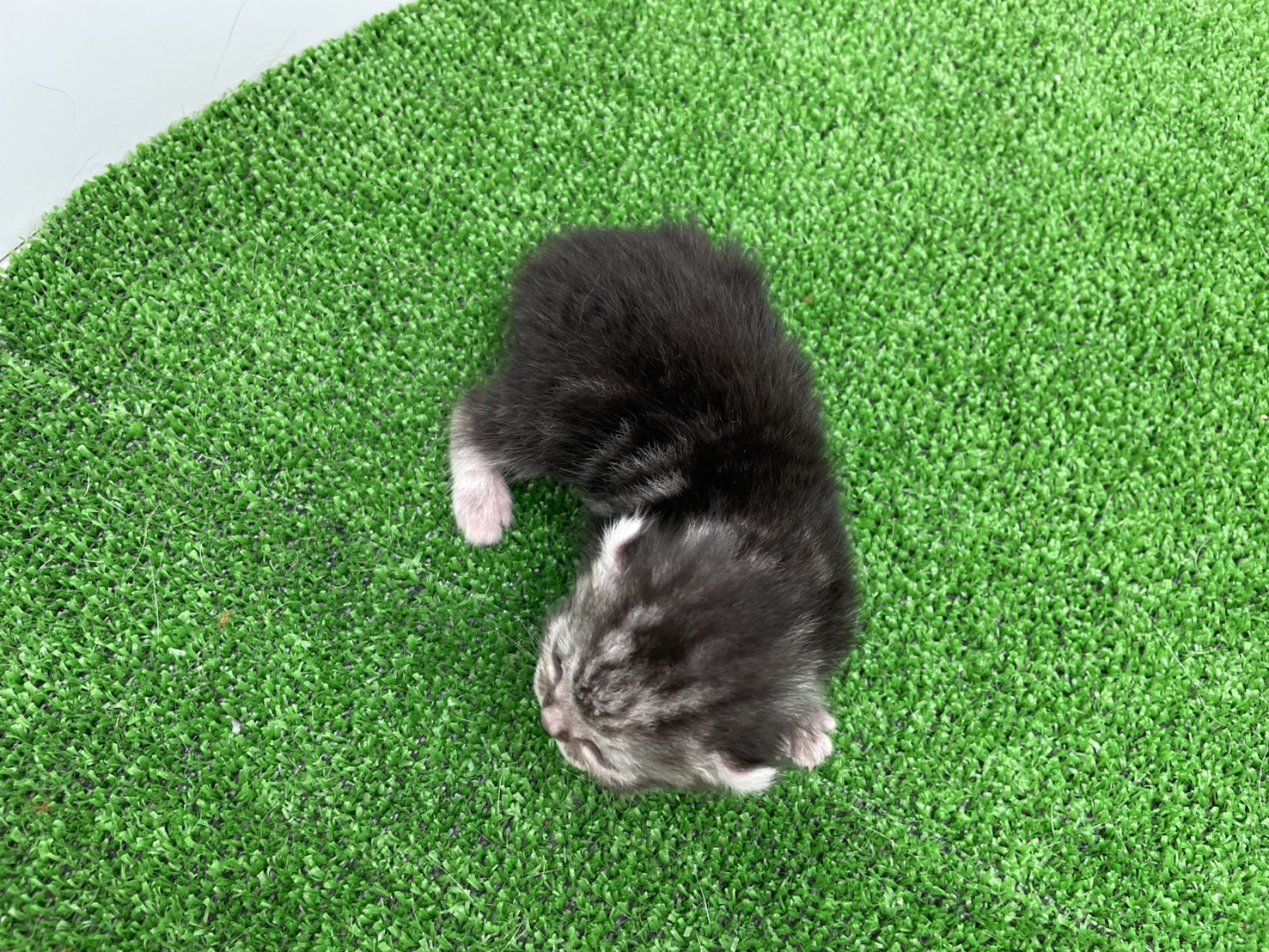 赤ちゃん写真1-3