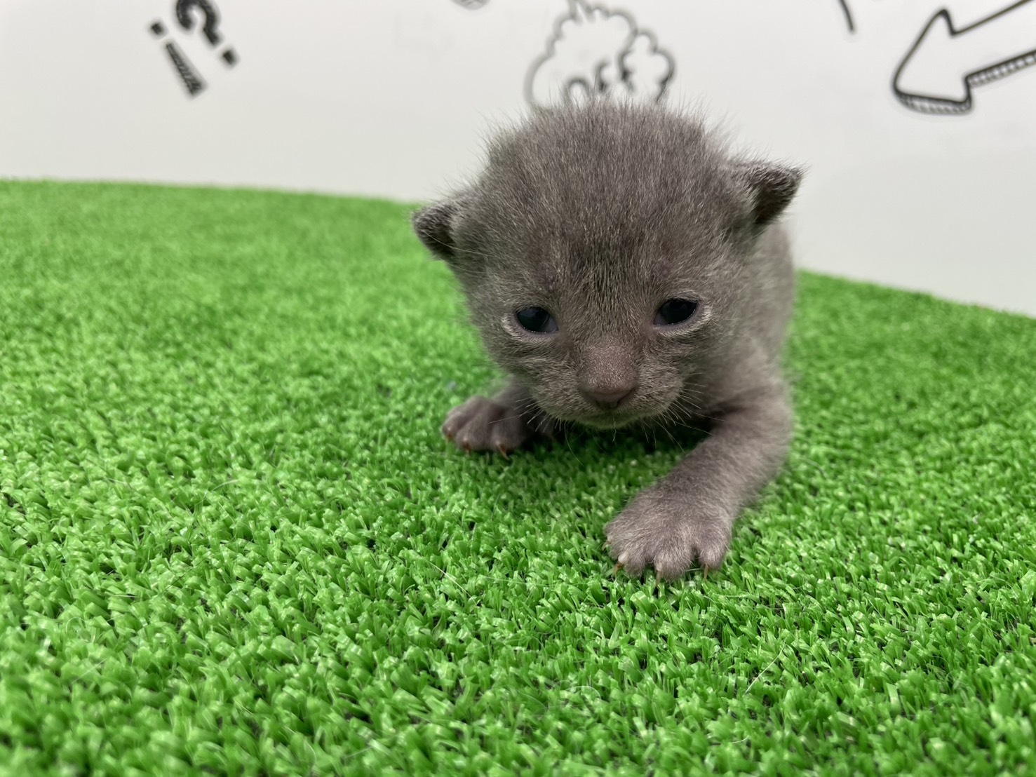 赤ちゃん写真1-1