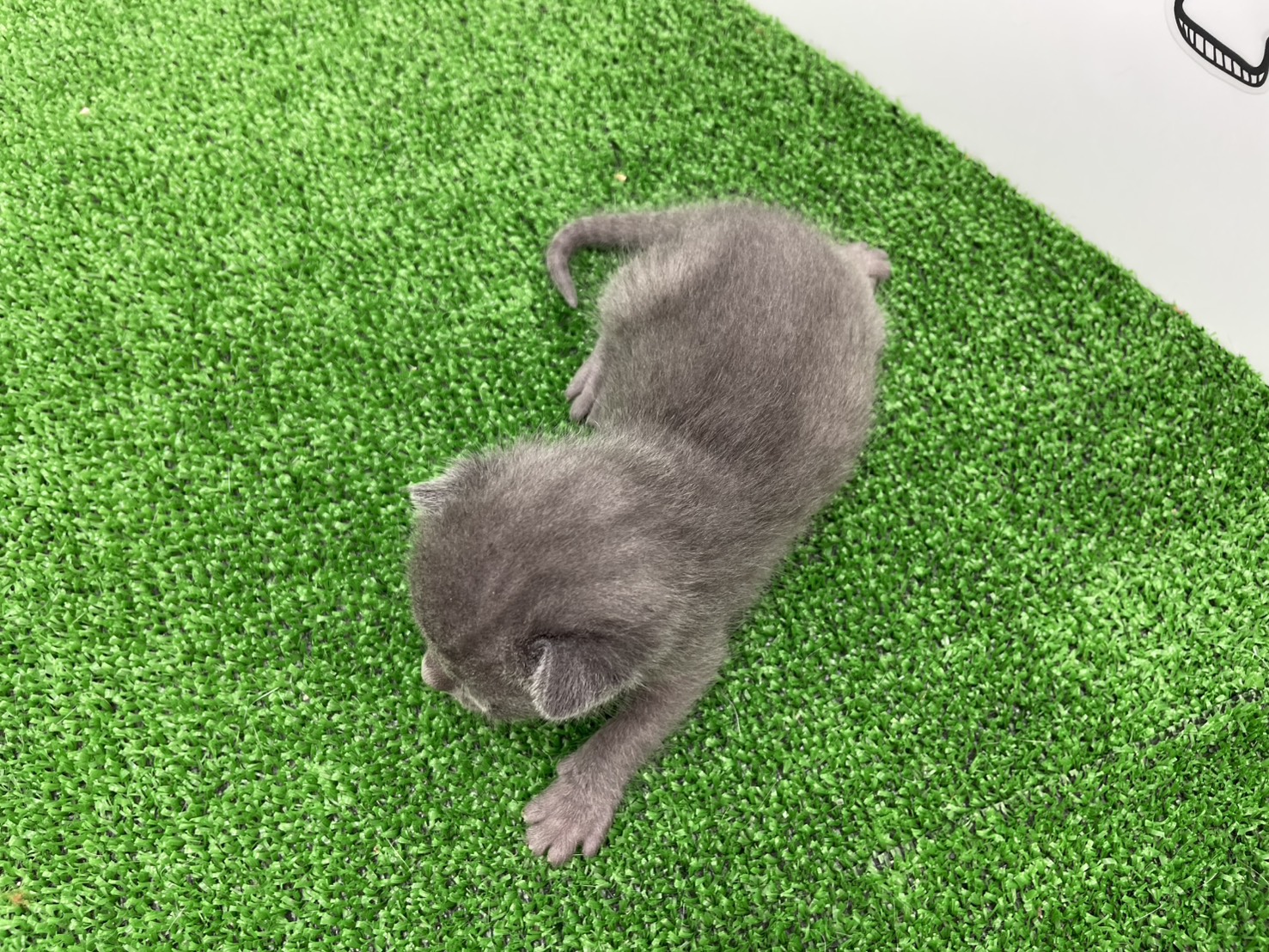 赤ちゃん写真1-3