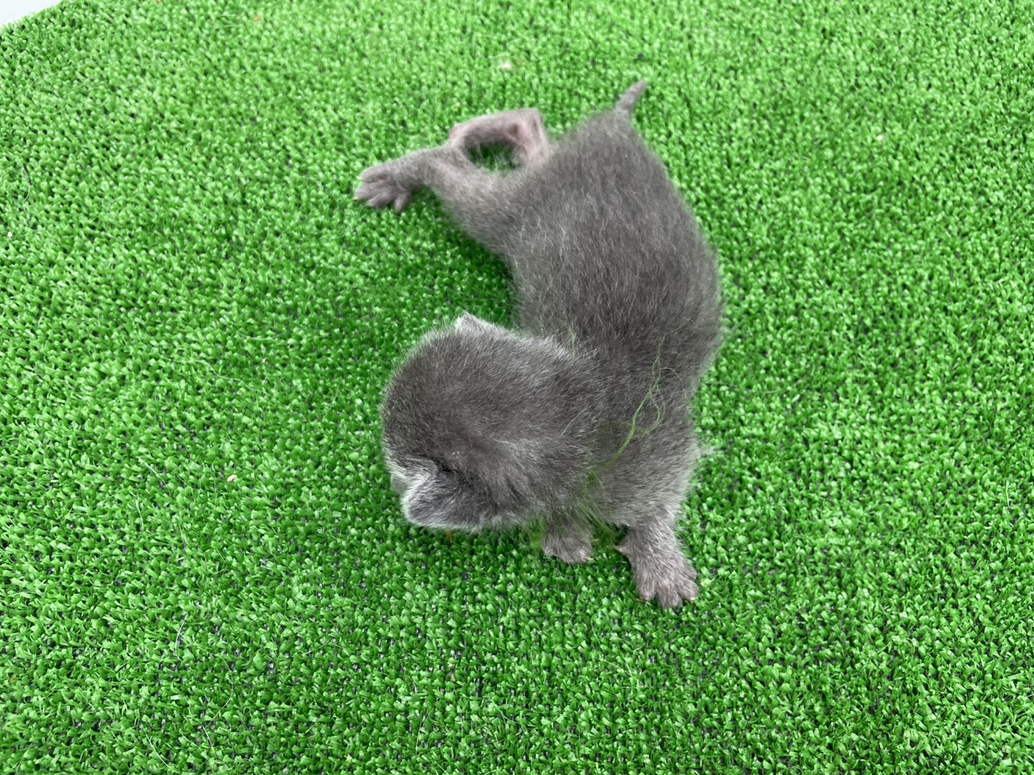 赤ちゃん写真1-2