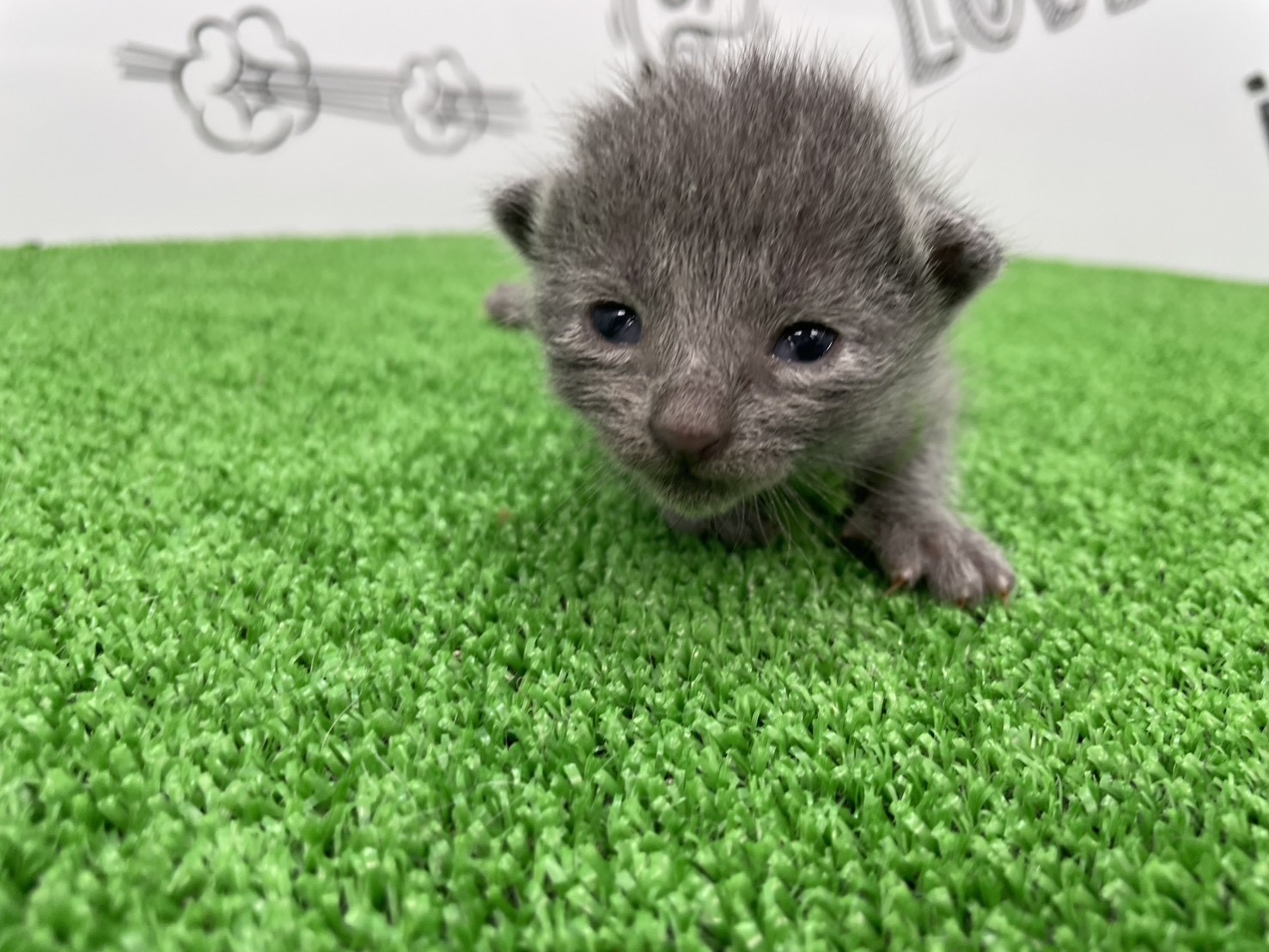 赤ちゃん写真1-3