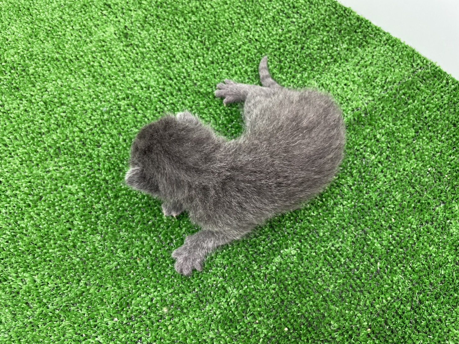 赤ちゃん写真1-3