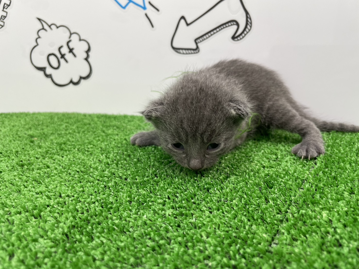 赤ちゃん写真1-1