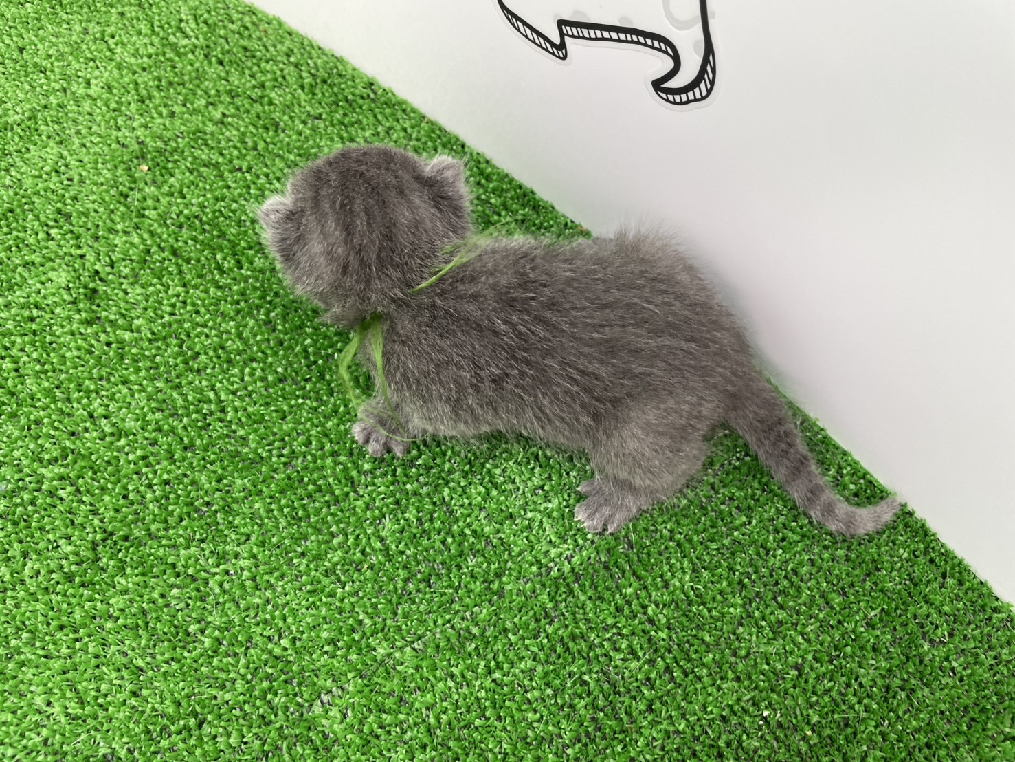 赤ちゃん写真1-3