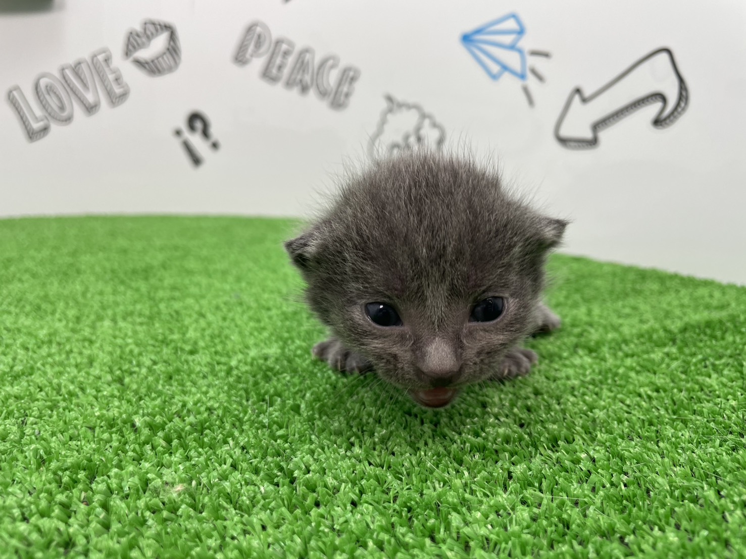赤ちゃん写真1-1