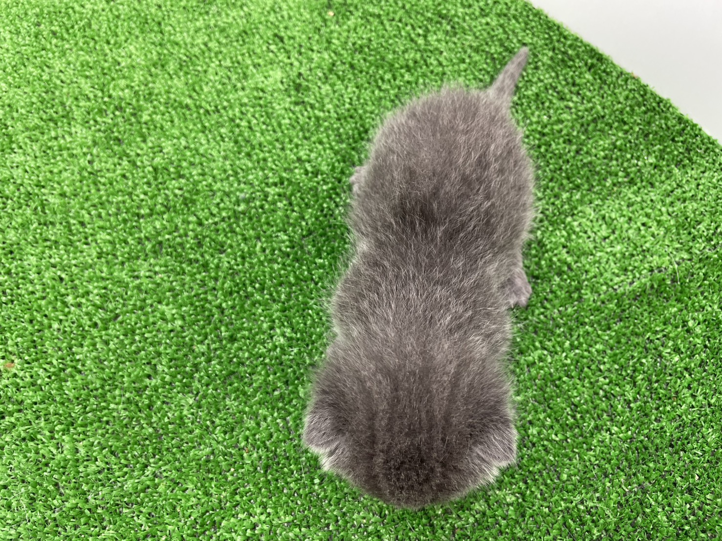 赤ちゃん写真1-3