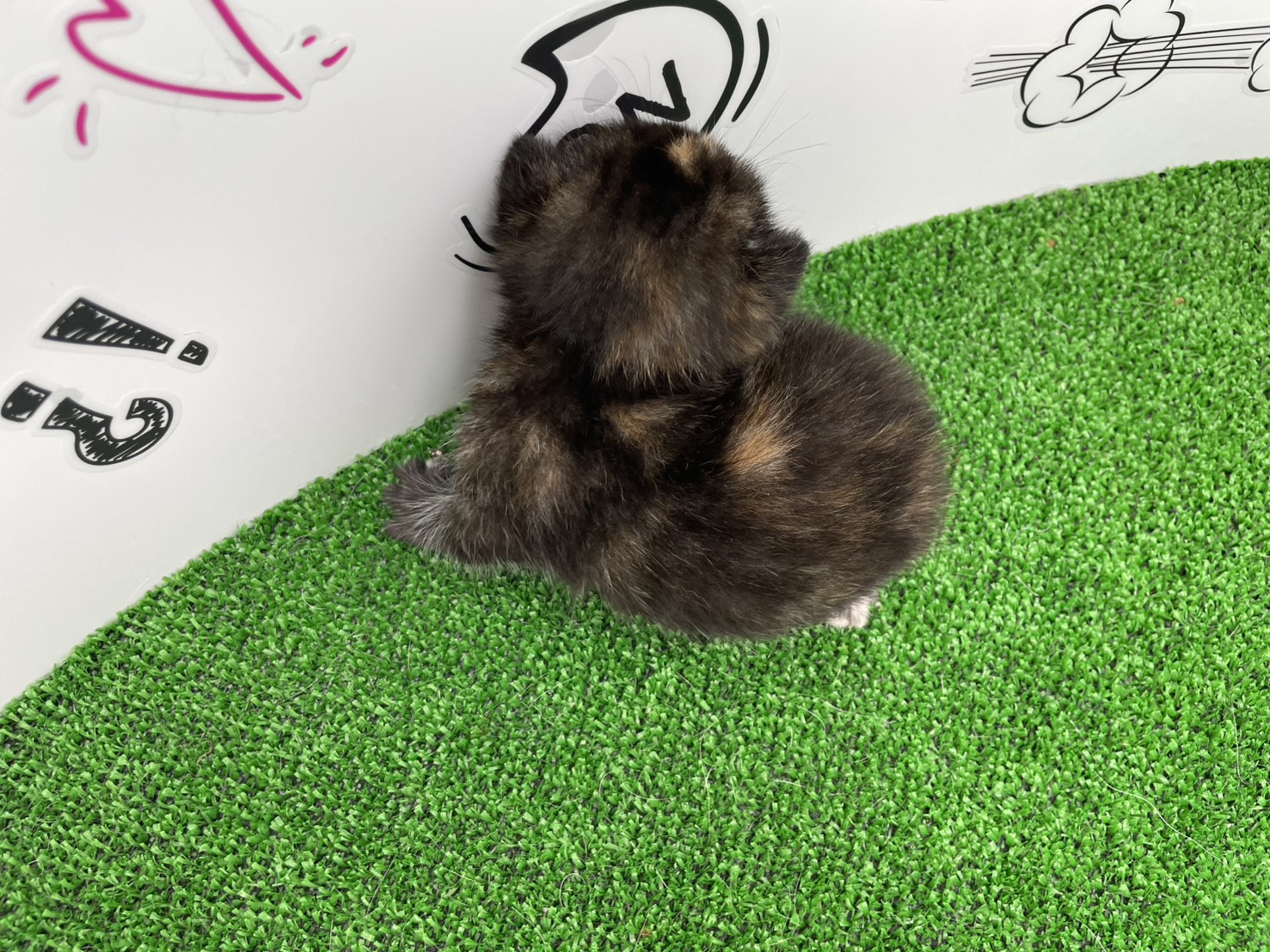 赤ちゃん写真1-3