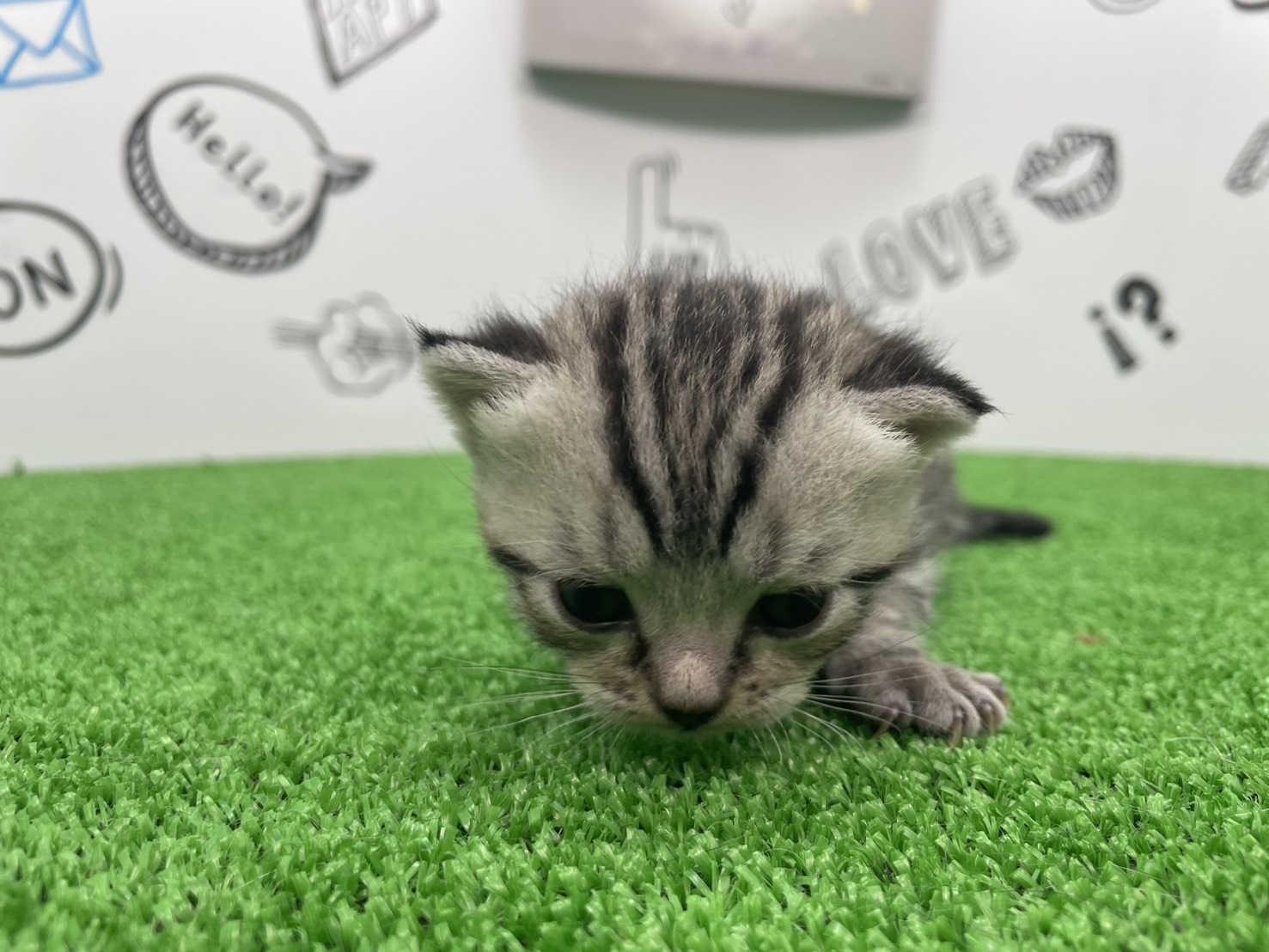 赤ちゃん写真1-1