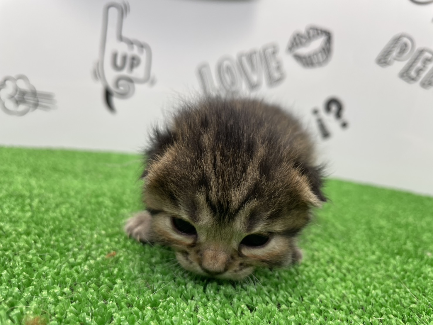 赤ちゃん写真1-1