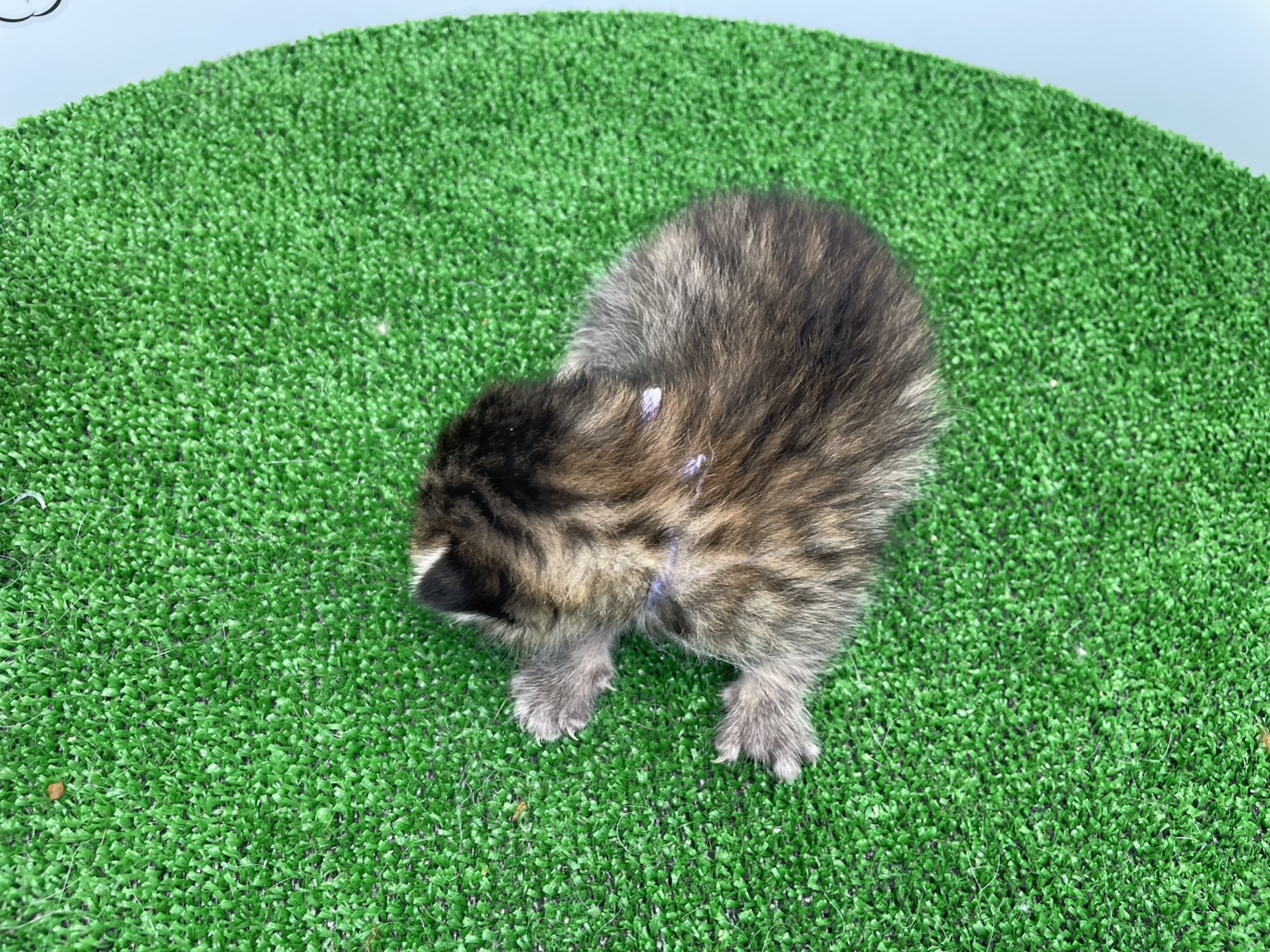 赤ちゃん写真1-3
