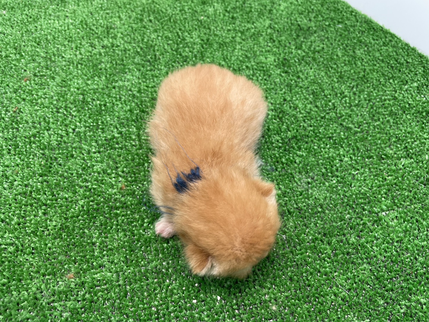 赤ちゃん写真1-3