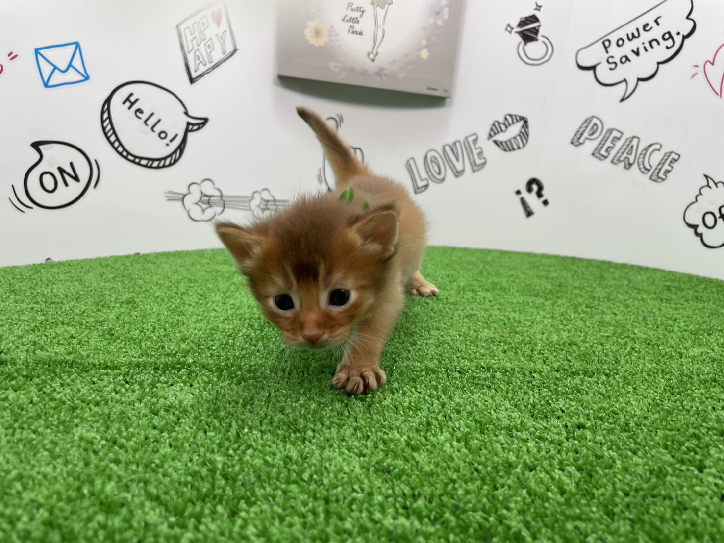 赤ちゃん写真1-1