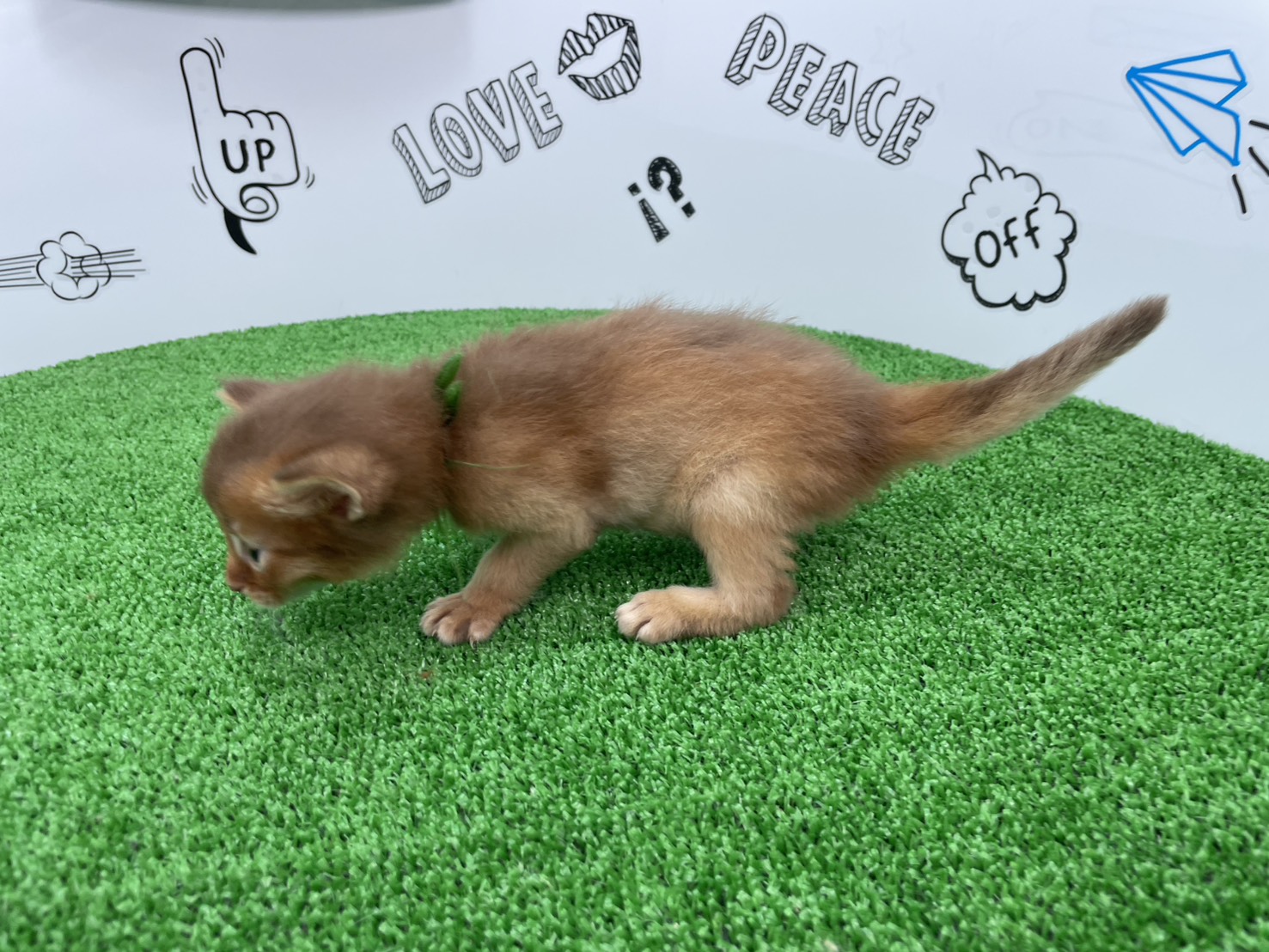 赤ちゃん写真1-2