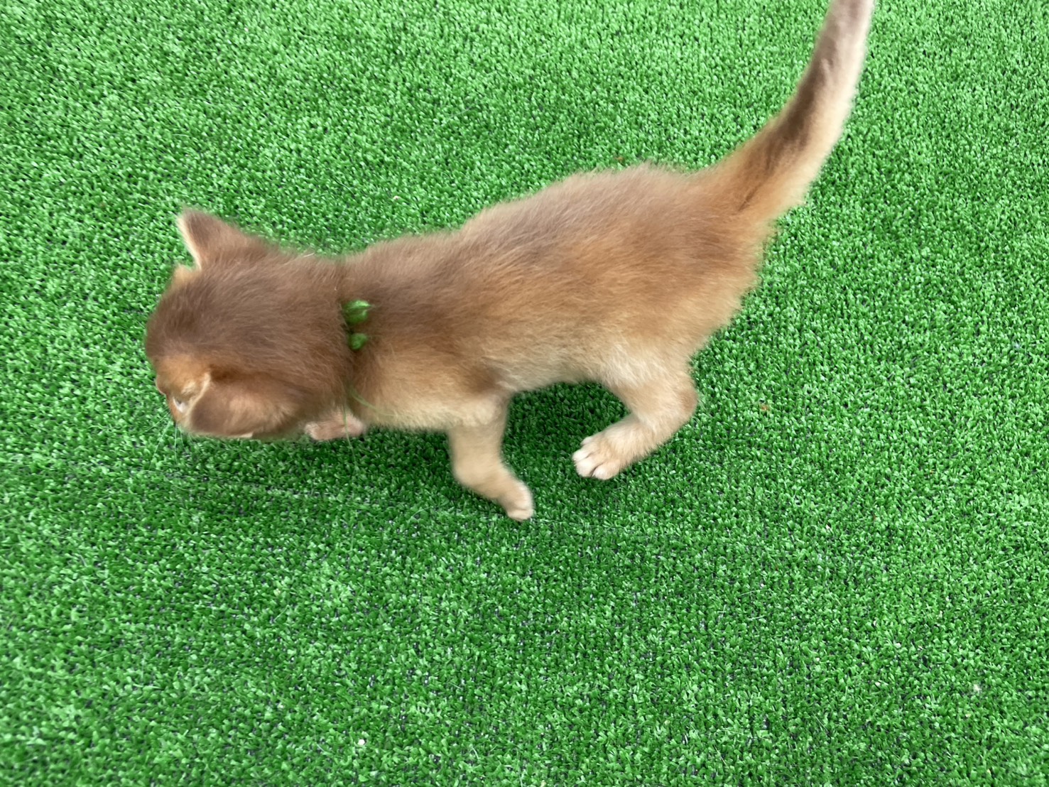 赤ちゃん写真1-3