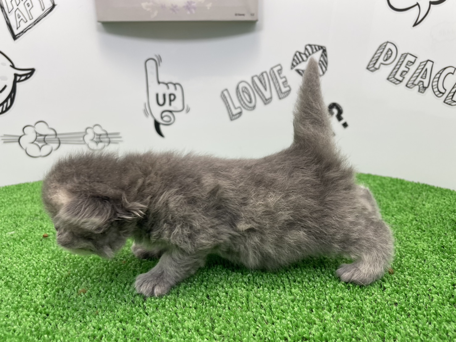 赤ちゃん写真1-2