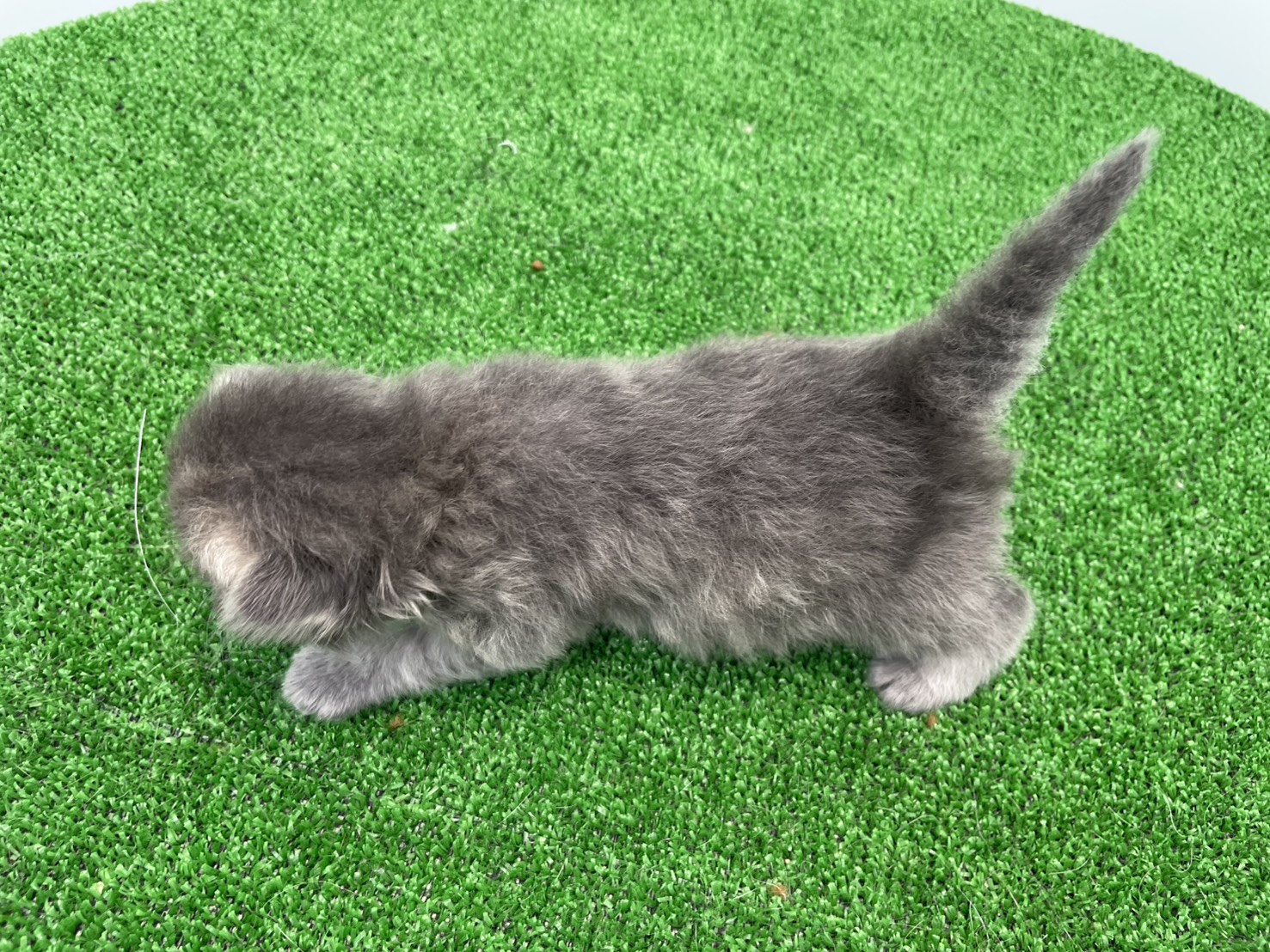 赤ちゃん写真1-3