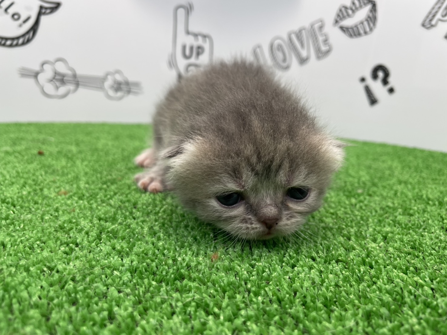 赤ちゃん写真1-1