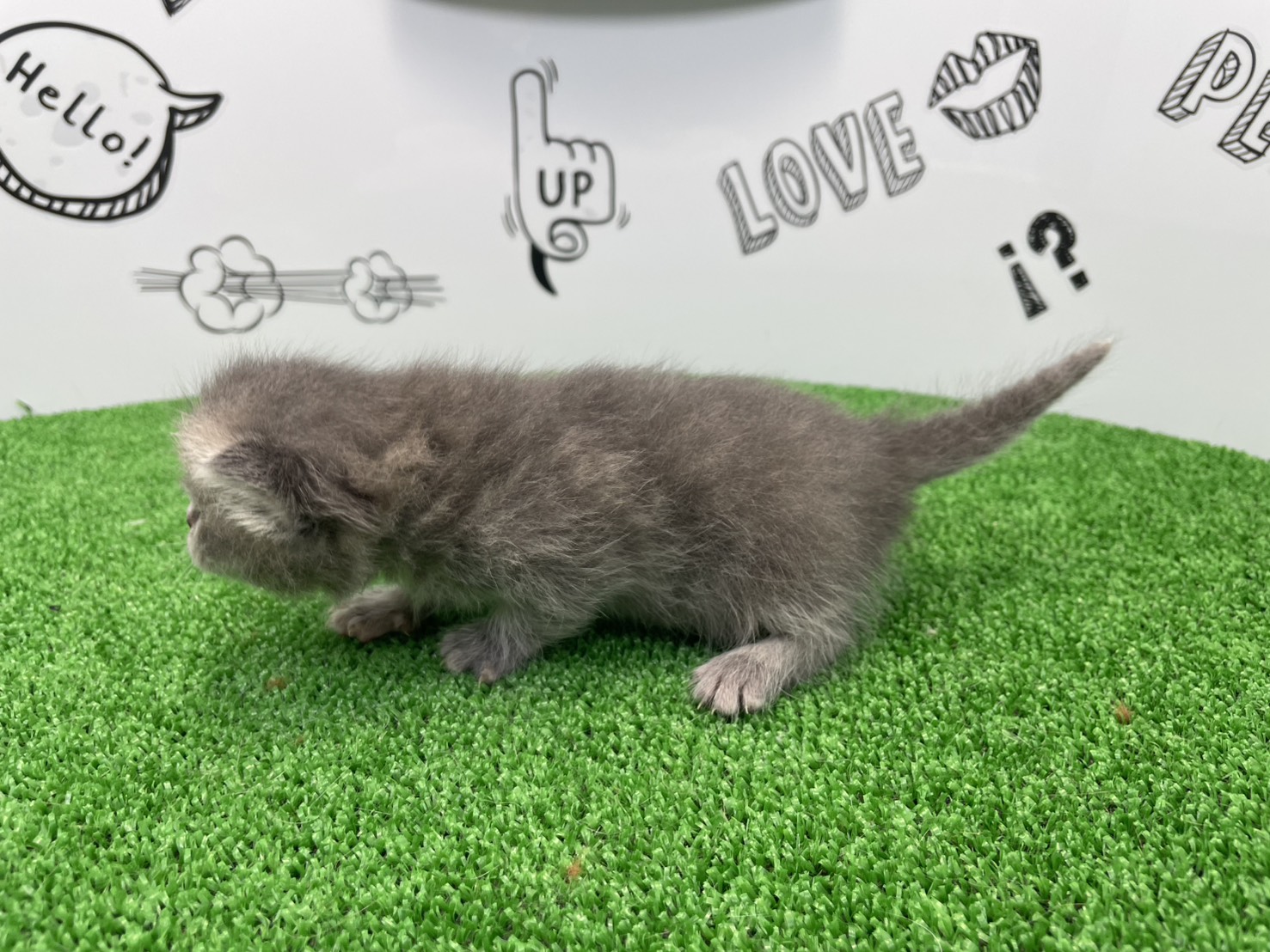 赤ちゃん写真1-2