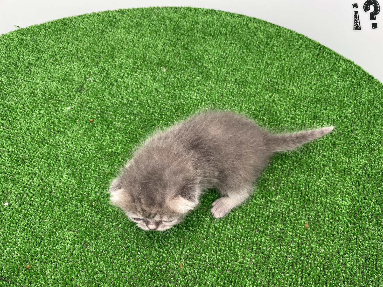 赤ちゃん写真1-3