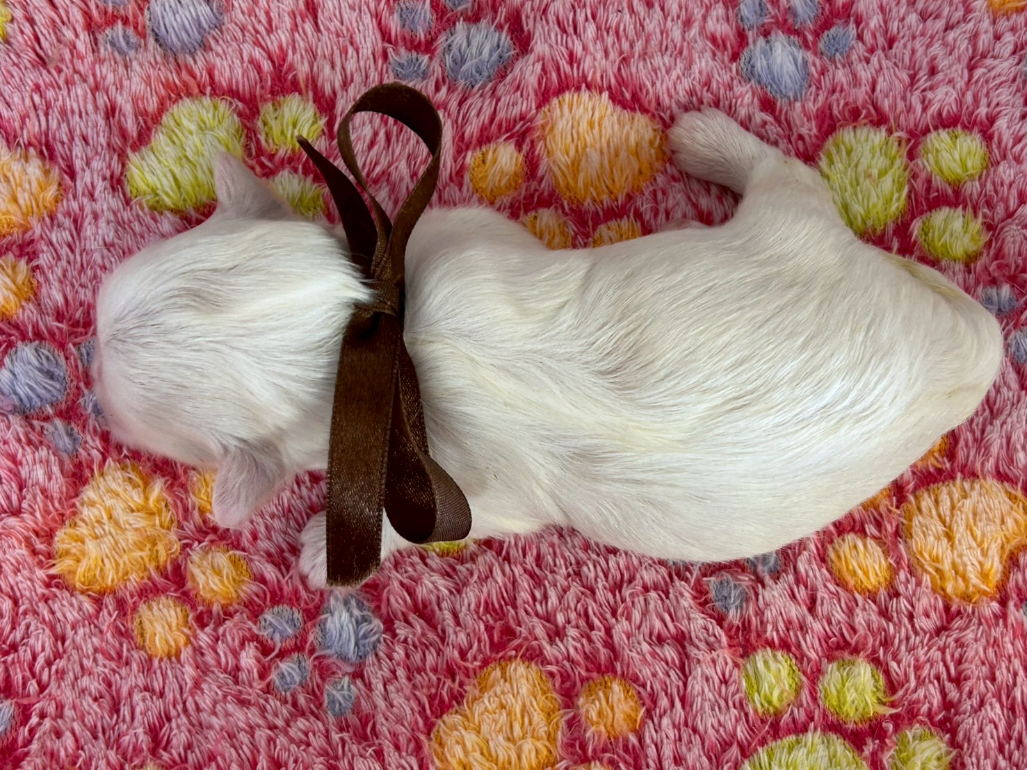 赤ちゃん写真1-3
