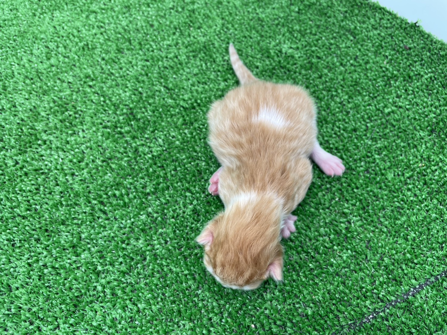 赤ちゃん写真1-3