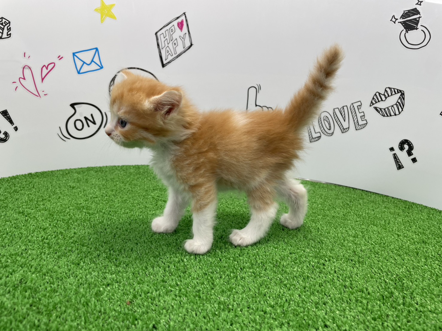 赤ちゃん写真2-2
