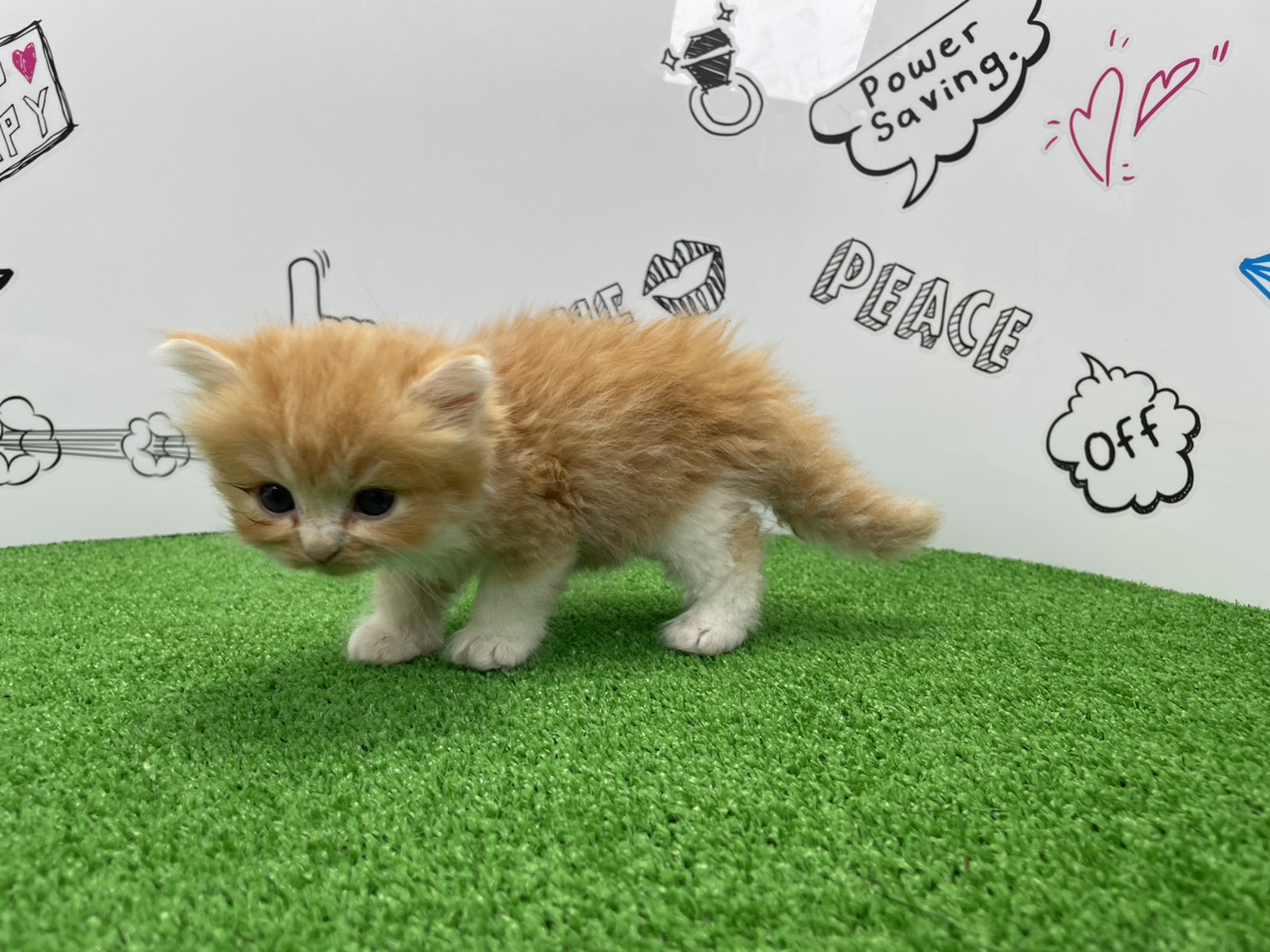赤ちゃん写真2-2
