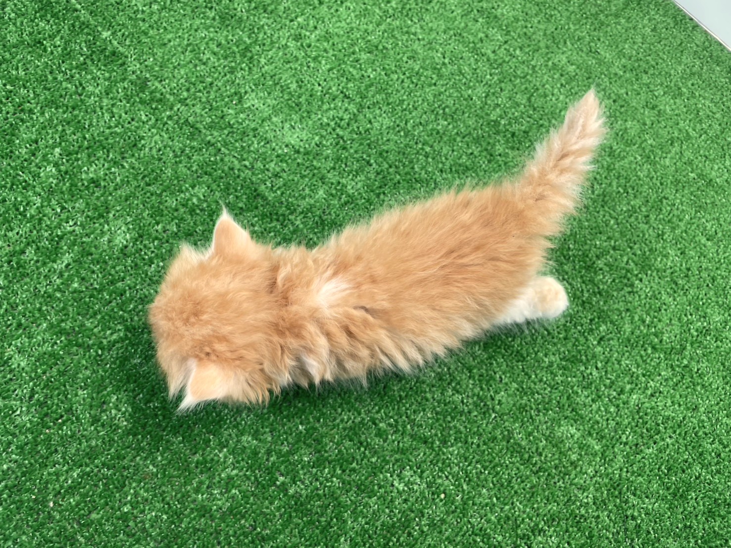 赤ちゃん写真2-3