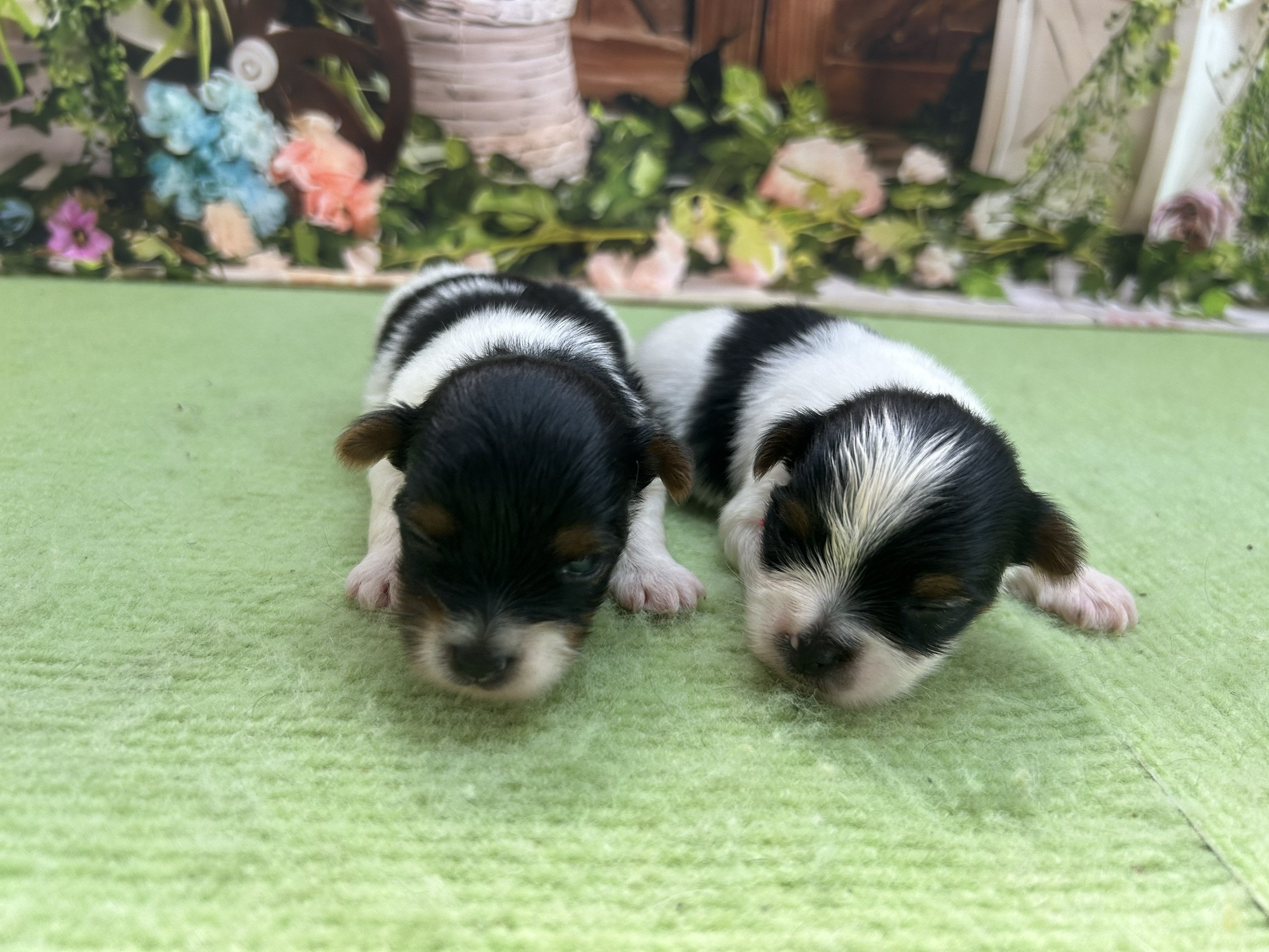 赤ちゃん写真1-3