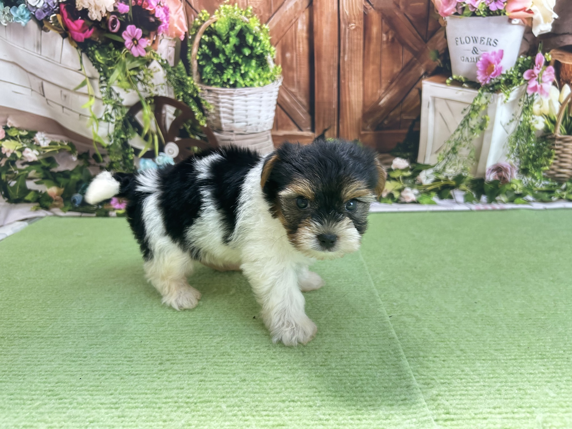 赤ちゃん写真3-2