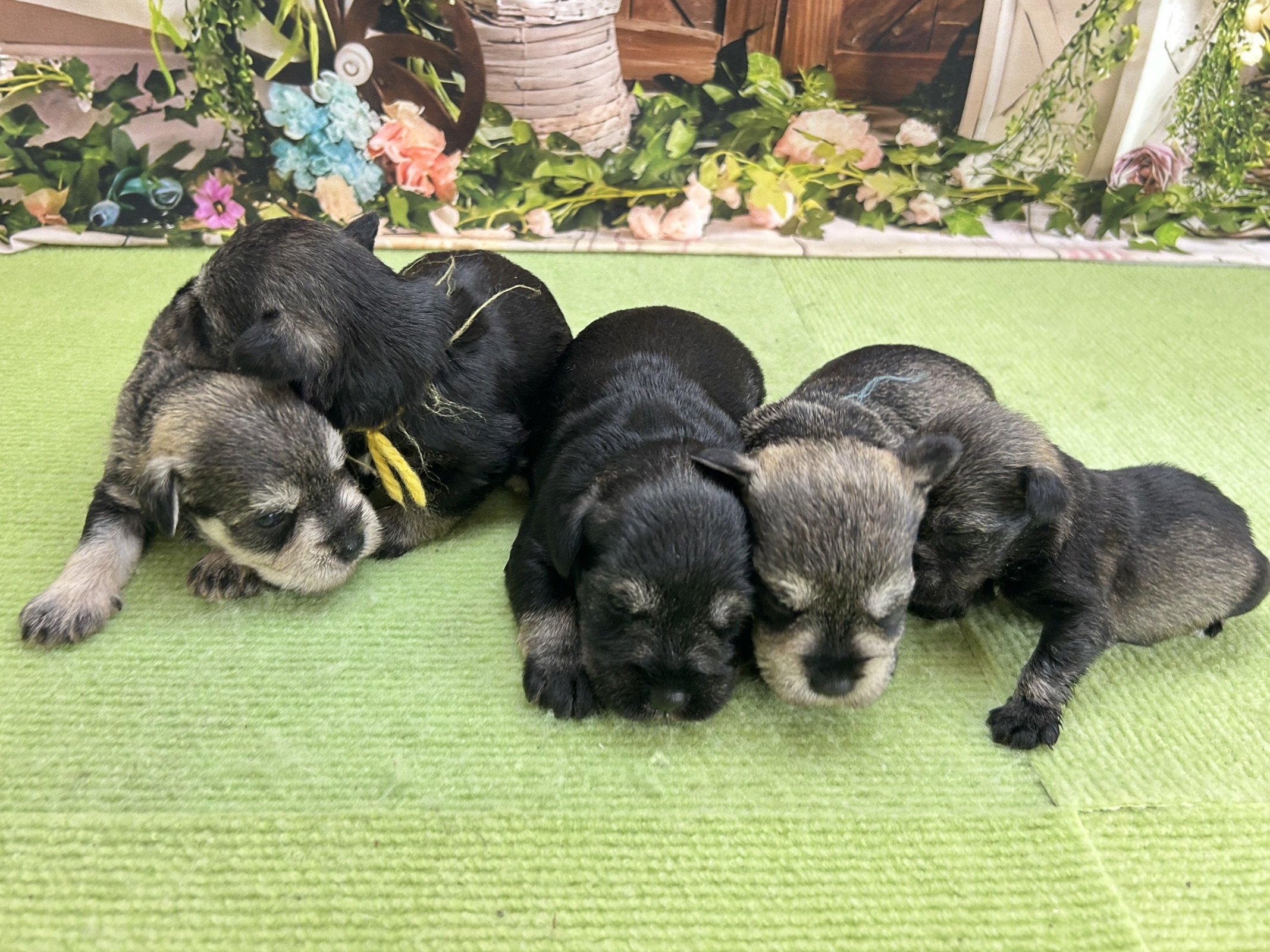 赤ちゃん写真1-3