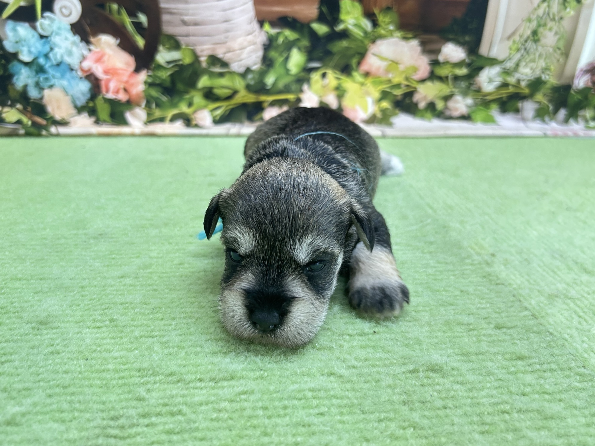 赤ちゃん写真1-1